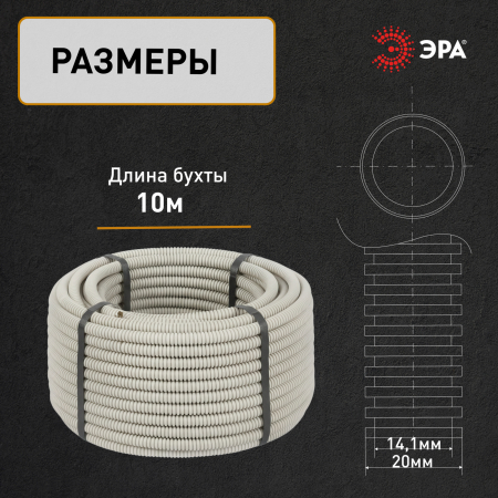 Б0036988