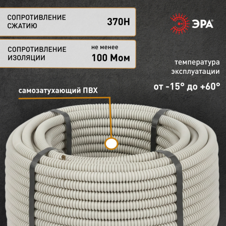 Б0036986