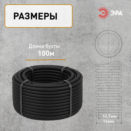 Б0036824