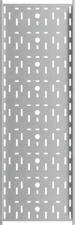 LPEplus100-300-1.0-2500 INOX304